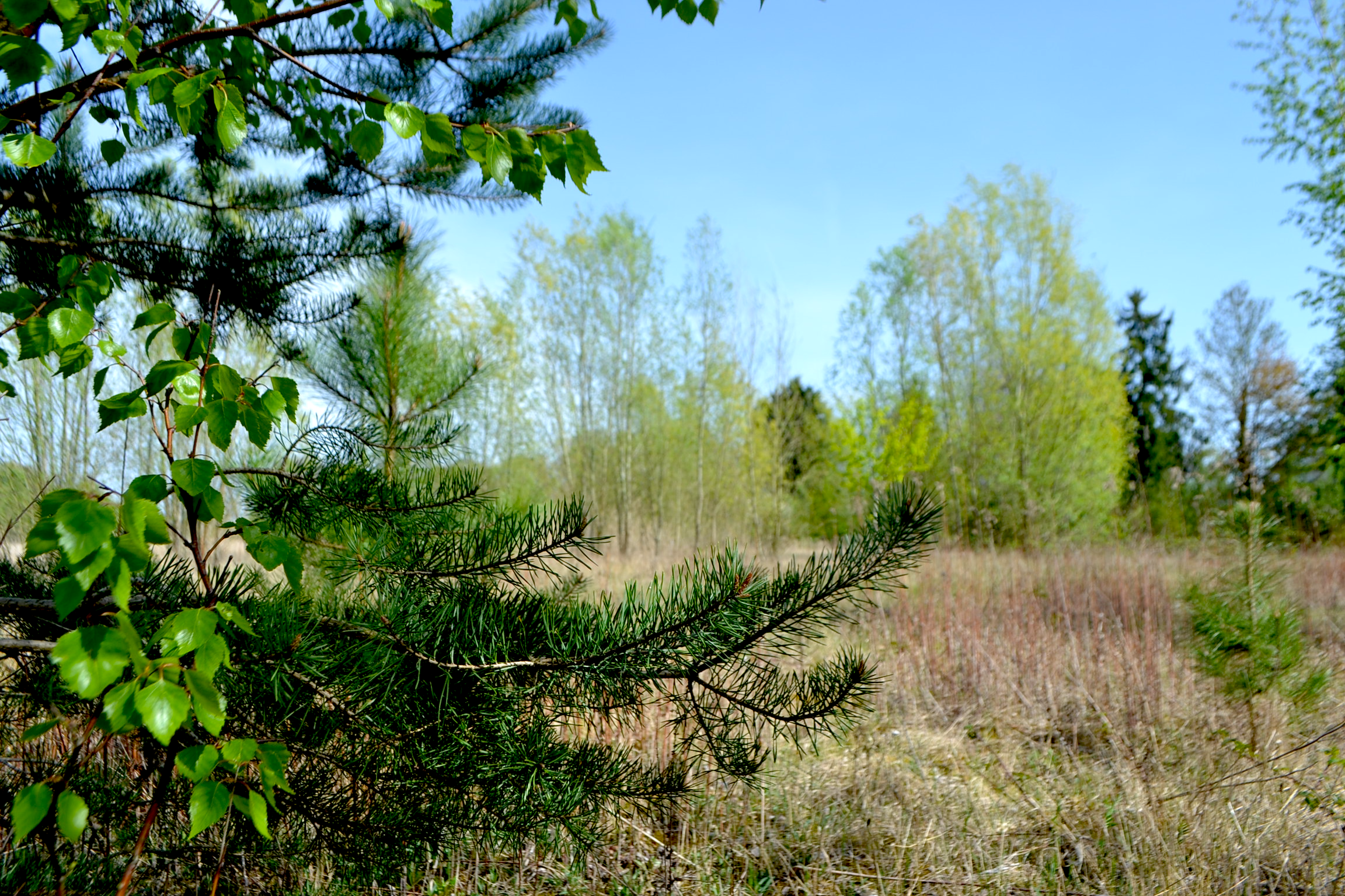 Lente 2026 NatuurgebiedZGSGR